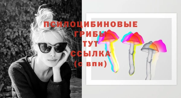 дурь Алексин