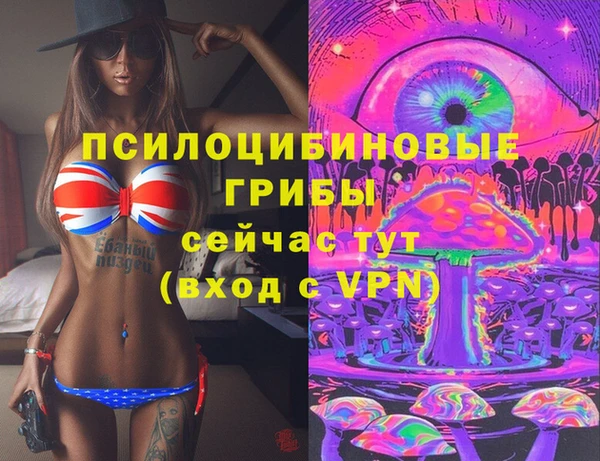 круглые Алексеевка