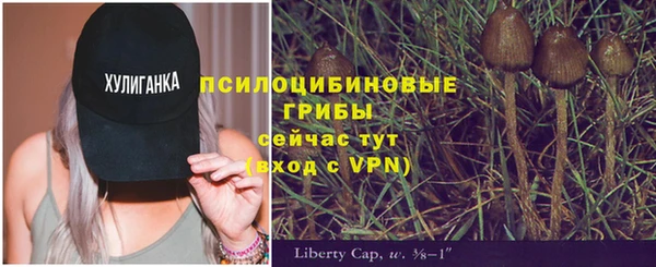 круглые Алексеевка