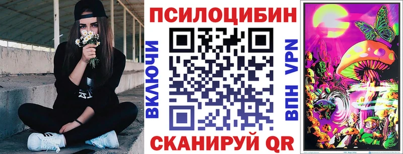 Галлюциногенные грибы Psilocybe  Харовск 